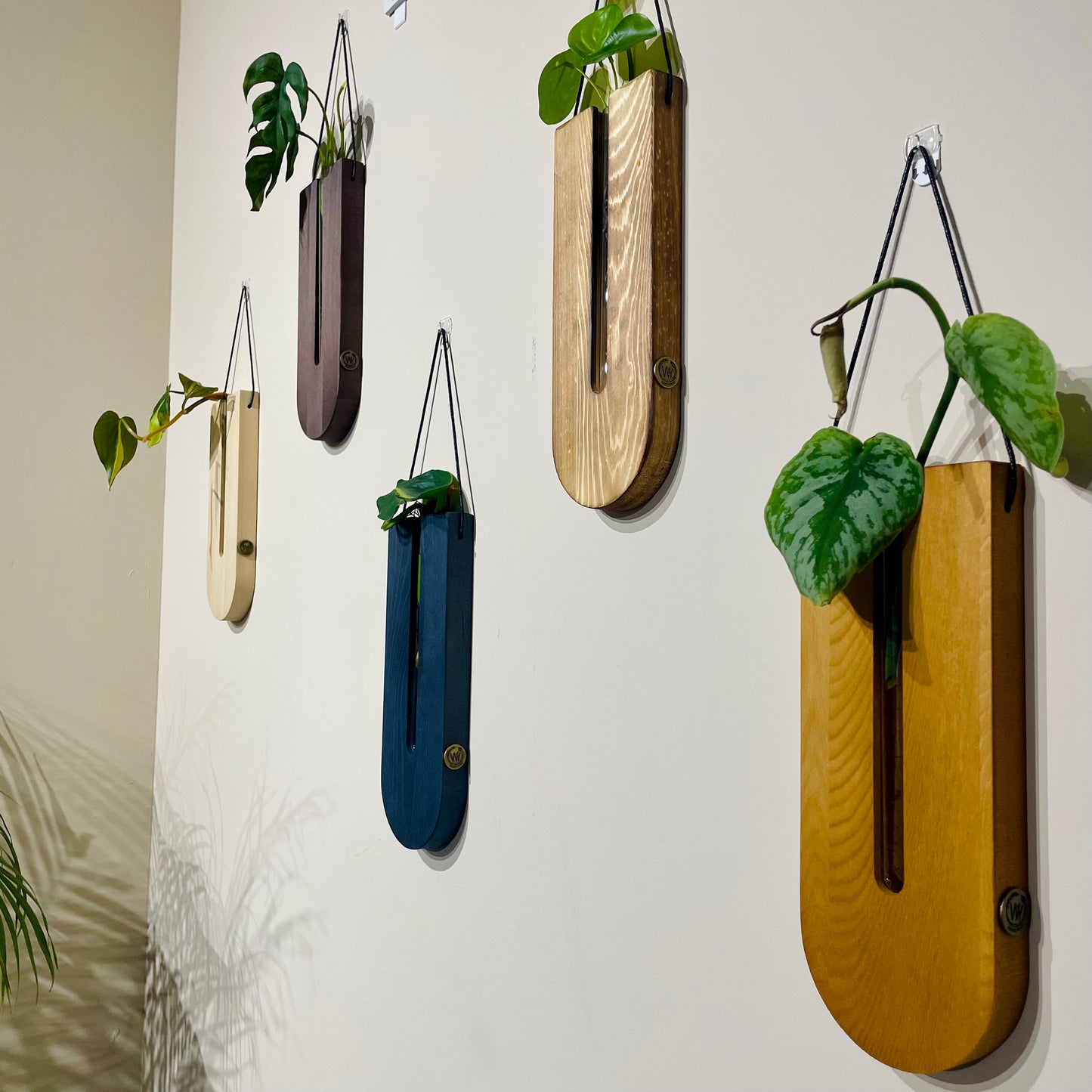 Set van 5 Muurvaasjes (5 Kleuren)