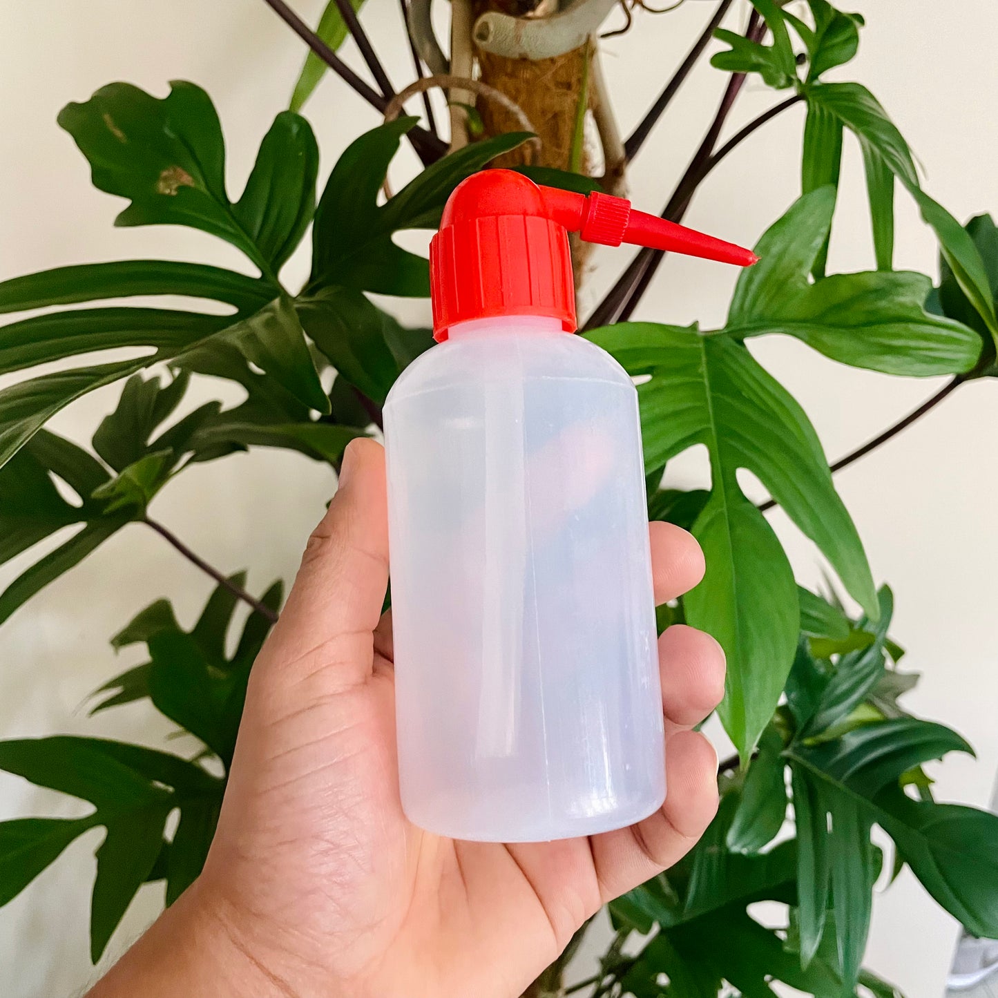 Sprühflasche 250 ml